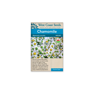 Chamomile - German Chamomile Organic