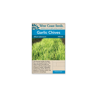 Chives - Garlic Chives