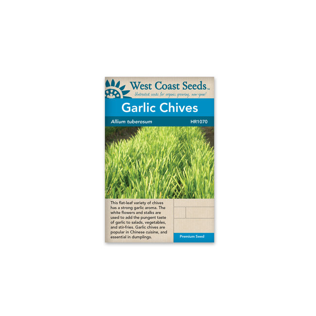 Chives - Garlic Chives