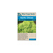 Chives - Garlic Chives