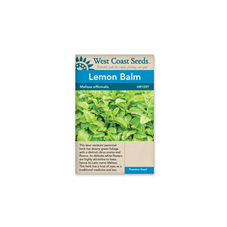 Lemon Balm