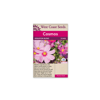 Cosmos - Sensation Blend