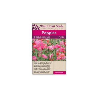 Poppies - Shirley Double Mix