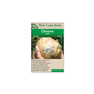 Onion - Kelsae