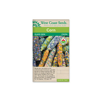 Corn - Glass Gem Organic