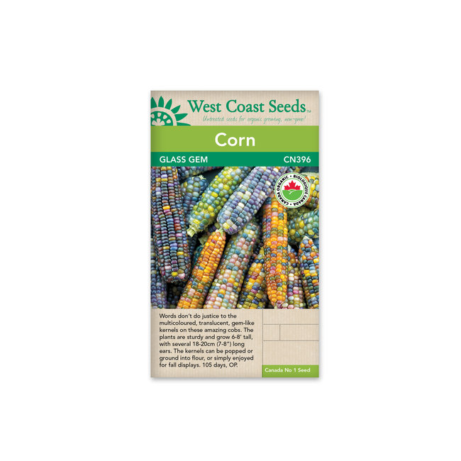 Corn - Glass Gem Organic