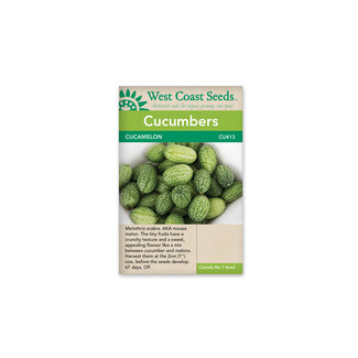 Cucumbers - Cucamelon