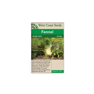 Fennel - Selma Fino
