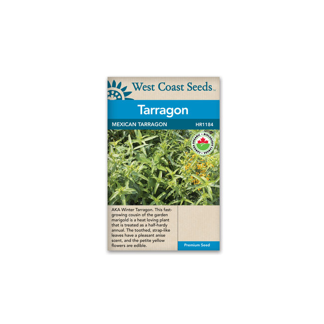 Tarragon - Mexican Tarragon Certified Organic