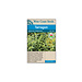 Tarragon - Mexican Tarragon Certified Organic