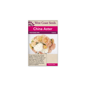 China Aster - The Roses Mix