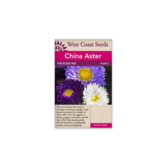 Aster - The Blues Mix