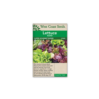 Lettuce - Super Gourmet Blend
