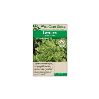 Lettuce - Tropicana Pelleted Organic