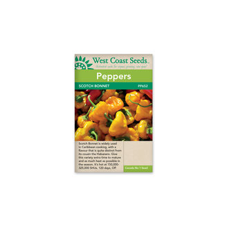 Peppers - Scotch Bonnet