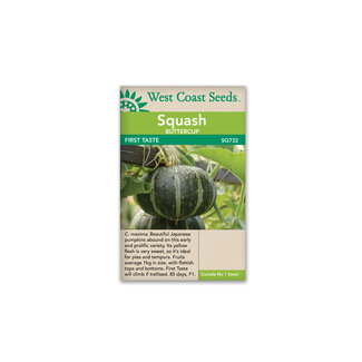 Squash - Kabocha First Taste