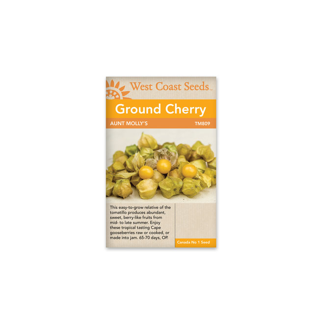 Ground Cherry - Aunt Molly's