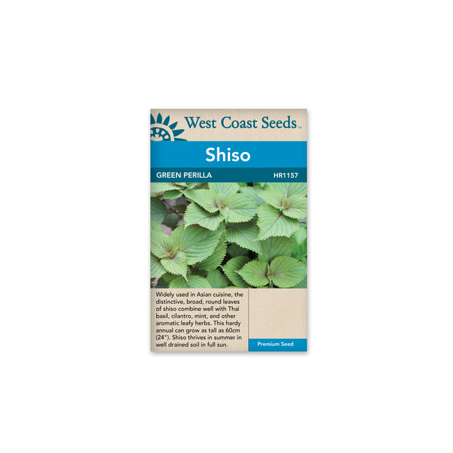 Shiso - Green Perilla
