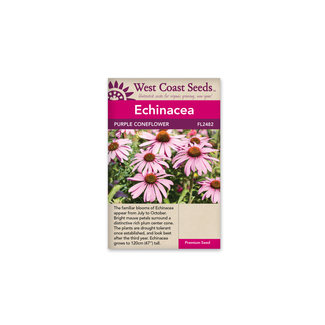 Echinacea - Purple Coneflower