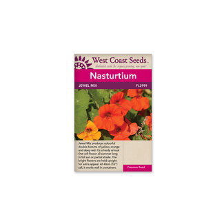 Nasturtium - Jewel Mix