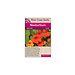 Nasturtium - Jewel Mix