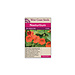 Nasturtium - Tall Single Mix