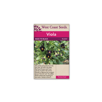 Viola - Back to Black