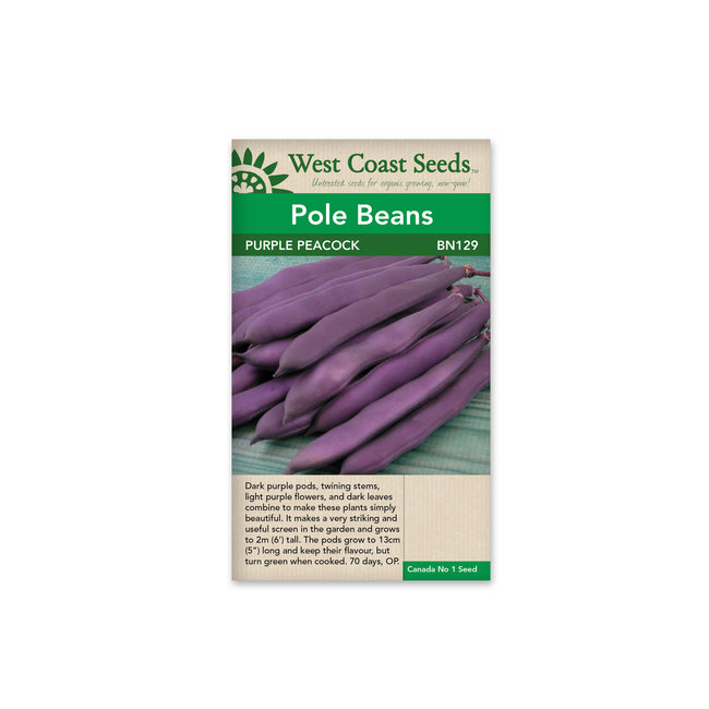 Pole Beans - Purple Peacock