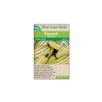Squash - Honey Boat
