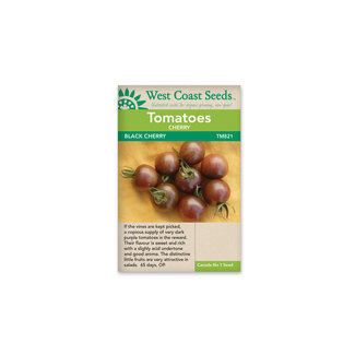 Tomatoes - Black Cherry