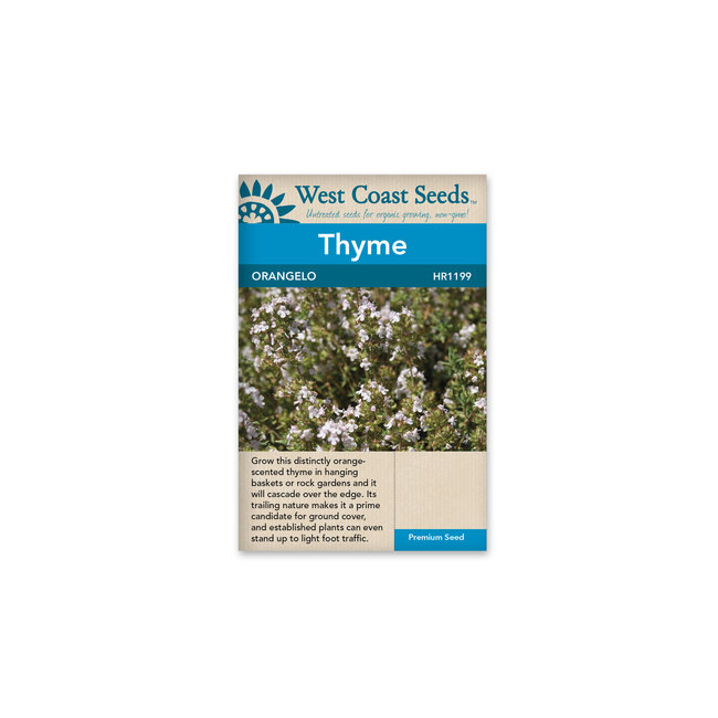 Thyme - Orangelo