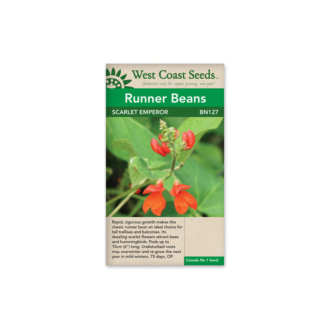 Runner Beans - Scarlet Emperor
