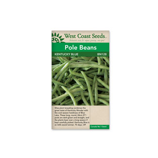 Pole Beans - Kentucky Blue