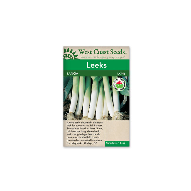 Leek - Lancia