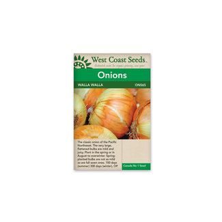 Onion - Walla Walla