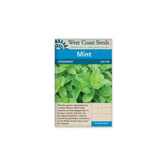 Mint - Spearmint