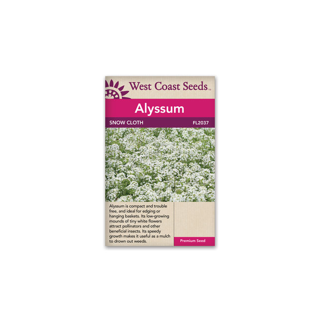 Alyssum - Snow Cloth
