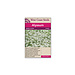 Alyssum - Snow Cloth