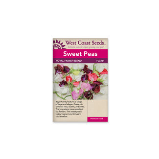 Sweet Pea - Royal Family Blend