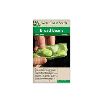 Broad Beans - Windsor