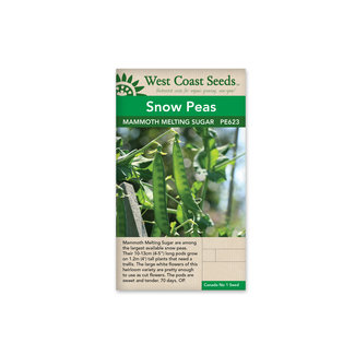 Snow Peas - Mammoth Melting Sugar