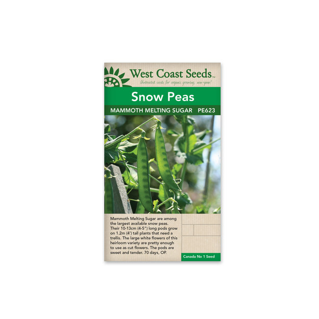 Snow Peas - Mammoth Melting Sugar