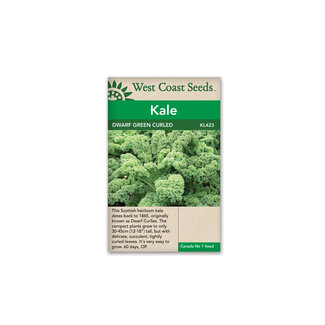 Kale - Dwarf Green Curled