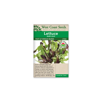 Lettuce - Fast and Furious Blend Organic