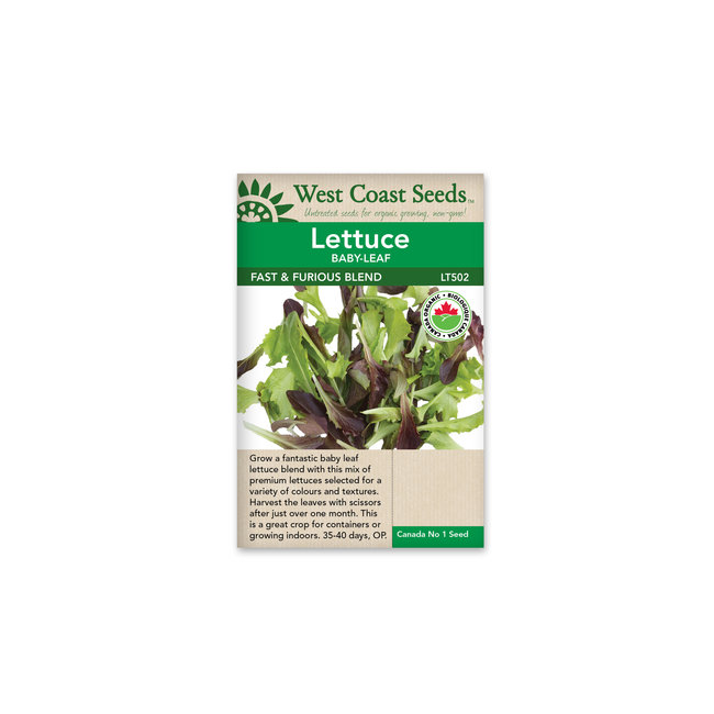 Lettuce - Fast and Furious Blend Organic