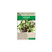 Lettuce - Fast and Furious Blend Organic