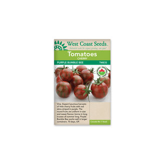 Cherry Tomatoes - Purple Bumble Bee Certified Organic