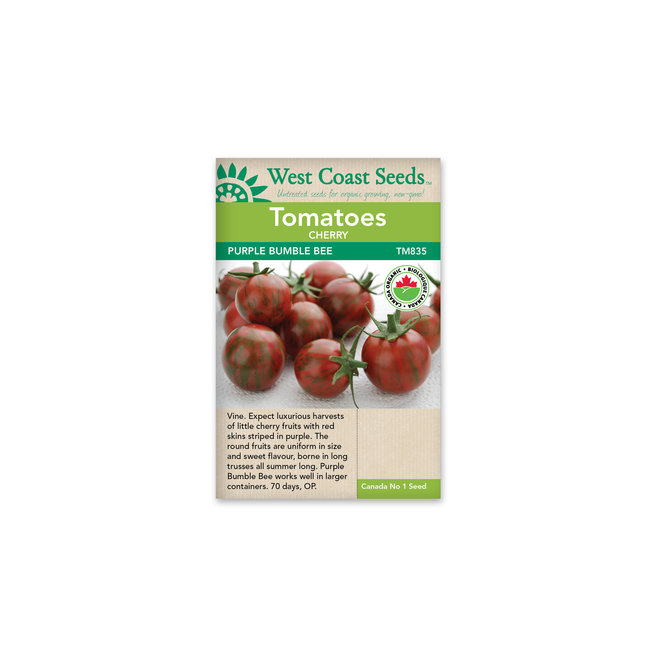 Cherry Tomatoes - Purple Bumble Bee Organic