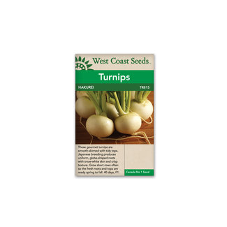 Turnip - Hakurei