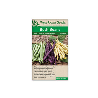 Bush Bean - Tricolor Bean Blend